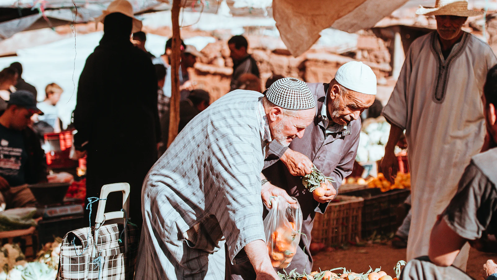 مقاول مغربي يقارن النشاط الفردي بالشركة